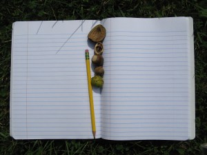 nature notebook